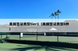 美国签证类型tier1（美国签证类型8种）