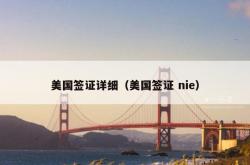 美国签证详细（美国签证 nie）