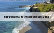 怎样交美国签证费（如何缴纳美国签证费用）