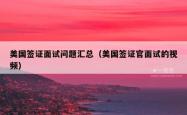 美国签证面试问题汇总（美国签证官面试的视频）