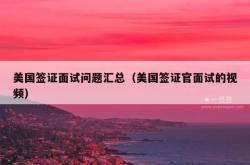 美国签证面试问题汇总（美国签证官面试的视频）
