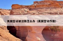 美国签证被注销怎么办（美国签证作废）