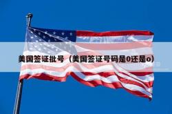 美国签证批号（美国签证号码是0还是o）