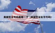 美国签证号码是哪一个（美国签证名字代码）