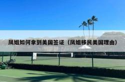 凤姐如何拿到美国签证（凤姐移民美国理由）