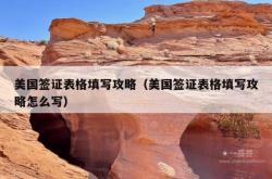 美国签证表格填写攻略（美国签证表格填写攻略怎么写）