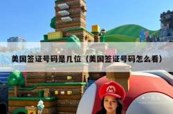 美国签证号码是几位（美国签证号码怎么看）