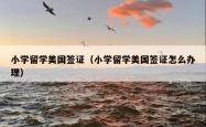 小学留学美国签证（小学留学美国签证怎么办理）