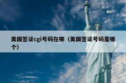 美国签证cgi号码在哪（美国签证号码是哪个）
