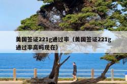 美国签证221g通过率（美国签证221g通过率高吗现在）