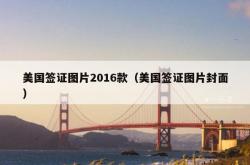 美国签证图片2016款（美国签证图片封面）
