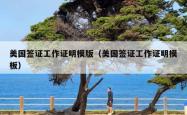 美国签证工作证明模版（美国签证工作证明模板）