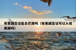 有美国签证能去巴西吗（有美国签证可以入境美国吗）