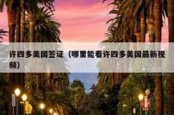 许四多美国签证（哪里能看许四多美国最新视频）