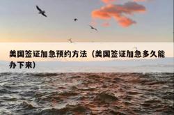 美国签证加急预约方法（美国签证加急多久能办下来）