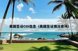 美国签证CGI信息（美国签证情况查询）