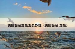 美国签证加急怎么办理（美国签证 加急）