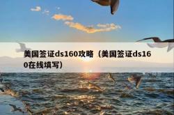 美国签证ds160攻略（美国签证ds160在线填写）