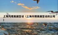 上海代理美国签证（上海代理美国签证的公司）