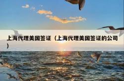 上海代理美国签证（上海代理美国签证的公司）
