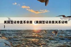 美国签证非直系亲属（美国签证亲属关系证明）