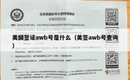 美国签证awb号是什么（美签awb号查询）