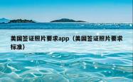 美国签证照片要求app（美国签证照片要求标准）