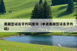 美国签证名字代码查询（申请美国签证名字代码）