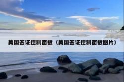 美国签证控制面板（美国签证控制面板图片）