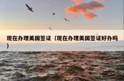 现在办理美国签证（现在办理美国签证好办吗）