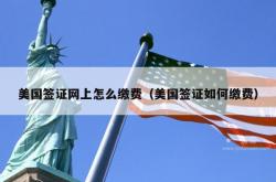 美国签证网上怎么缴费（美国签证如何缴费）