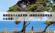 美国签证个人信息更新（美国签证状态更新多久出结果）