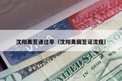 沈阳美签通过率（沈阳美国签证流程）