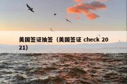 美国签证抽签（美国签证 check 2021）
