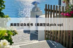 美国签证白皮书（美国签证pick up）
