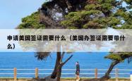 申请美国签证需要什么（美国办签证需要带什么）