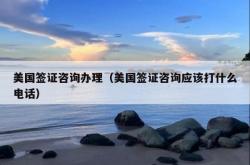 美国签证咨询办理（美国签证咨询应该打什么电话）