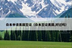 白本申请美国签证（白本签证美国,好过吗）