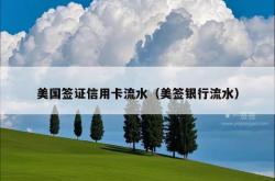 美国签证信用卡流水（美签银行流水）