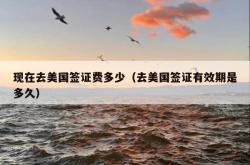 现在去美国签证费多少（去美国签证有效期是多久）