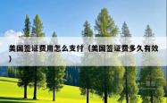 美国签证费用怎么支付（美国签证费多久有效）