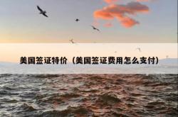 美国签证特价（美国签证费用怎么支付）