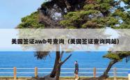 美国签证awb号查询（美国签证查询网站）