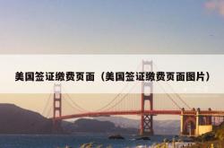 美国签证缴费页面（美国签证缴费页面图片）
