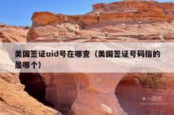 美国签证uid号在哪查（美国签证号码指的是哪个）
