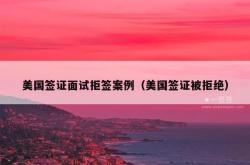 美国签证面试拒签案例（美国签证被拒绝）