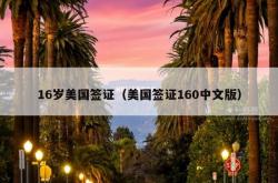 16岁美国签证（美国签证160中文版）