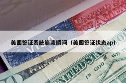 美国签证系统崩溃瞬间（美国签证状态ap）