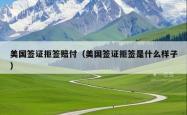 美国签证拒签赔付（美国签证拒签是什么样子）