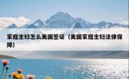 家庭主妇怎么美国签证（美国家庭主妇法律保障）